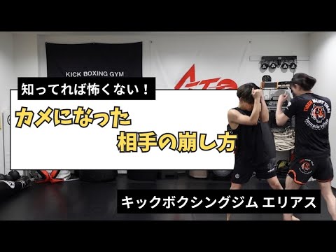 カメになった相手の崩し方