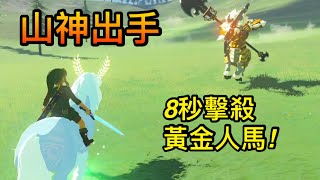 [閒聊] 有什麼遊戲BUG很多 但不影響遊戲體驗的
