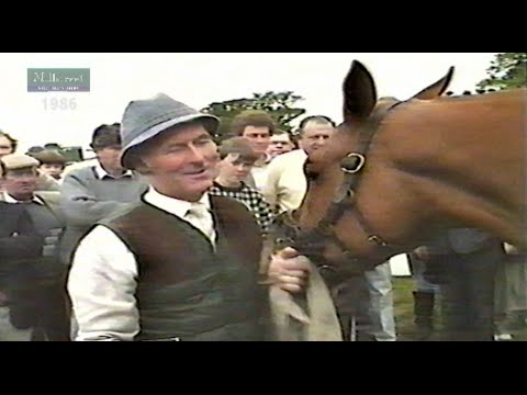 Millstreet 1986 Memories