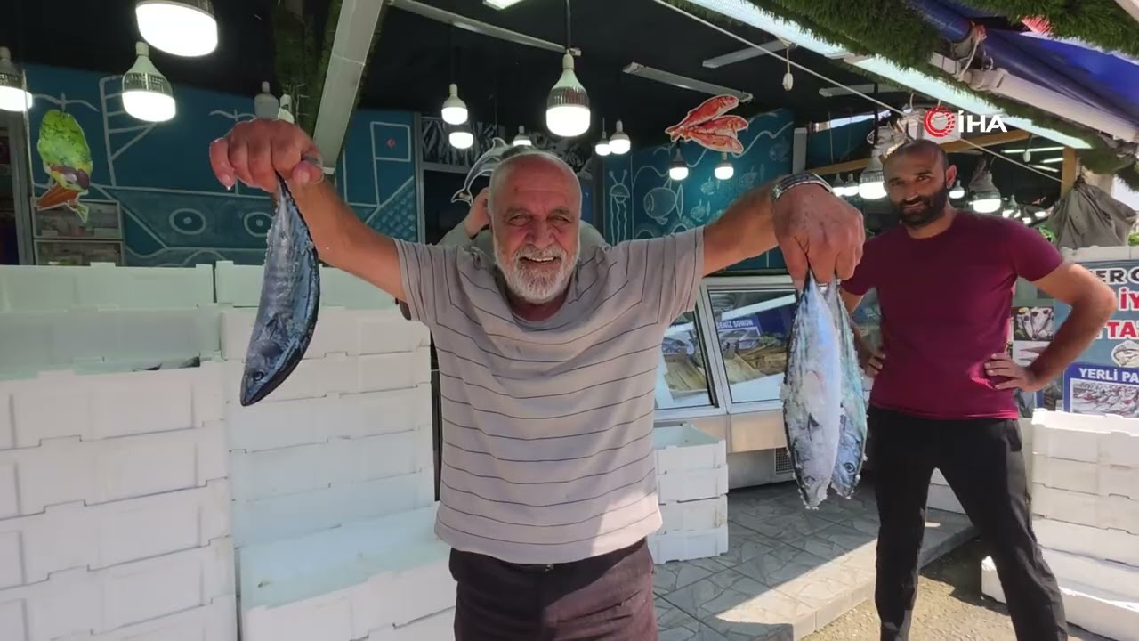 Palamut tezgaha indi, vatandaş sıraya girdi