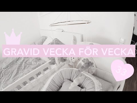 GRAVID VECKA FÖR VECKA: V.33