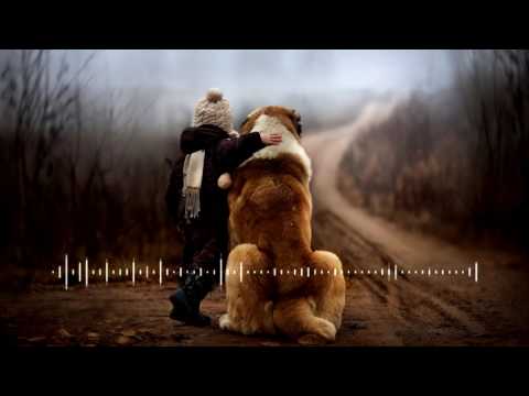 Bolth ft. Amj–Feeling The Vibe (Cohern Remix)