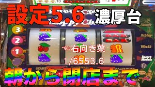 朝一設定６ツモ！？　終日全ツッパ　ハッピージャグラー設定狙い