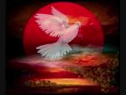 GRUPO KORAJJE PRIMERA COSA BELLA