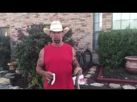 Texas Rat Snake - Machete