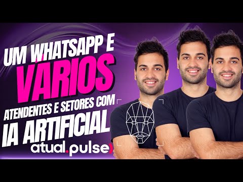 Introdução ao ZapFlux