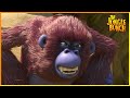 Beware Of The Gorilla Jungle Bunch 55 Compilation Cartoon For Kids
