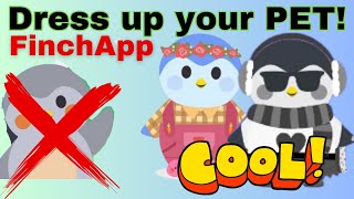 Beginners Help Finch App: Dress your pet Play & earn more rainbow stones hacks TIPS!
