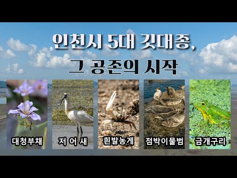 인천의 5대 깃대종, 그 공존의 시작!
