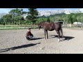 Heaven's Gate Animal Rescue Canada / Alberta ...