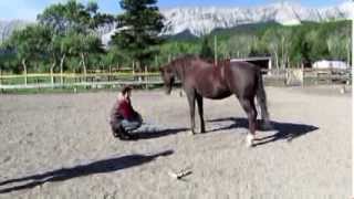 Heaven&#39;s Gate Animal Rescue Canada / Alberta