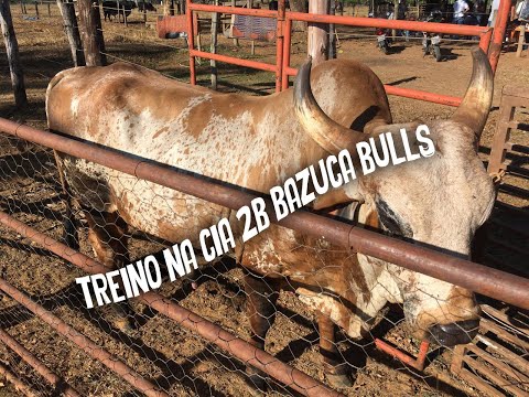 RODEIO EM TOUROS | Treino na CIA 2B BAZUCA BULLS, MARCOS ROSA montou em um Touro DURO! #TREINO