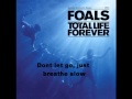 Foals - 2 Trees (Album Version) - With Lyrics ...