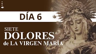 6️⃣ La Virgen recibe el cuerpo de Jesús en sus brazos