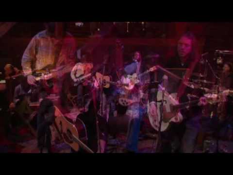 Black Crowes...Cabin Fever... The Dolphins - LIVE