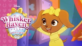 Pets on the Hunt! | Whisker Haven Tales with the Palace Pets | Disney Junior