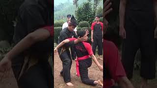 Download lagu Pencak Silat Cimande Fight Techniques #Shorts mp3