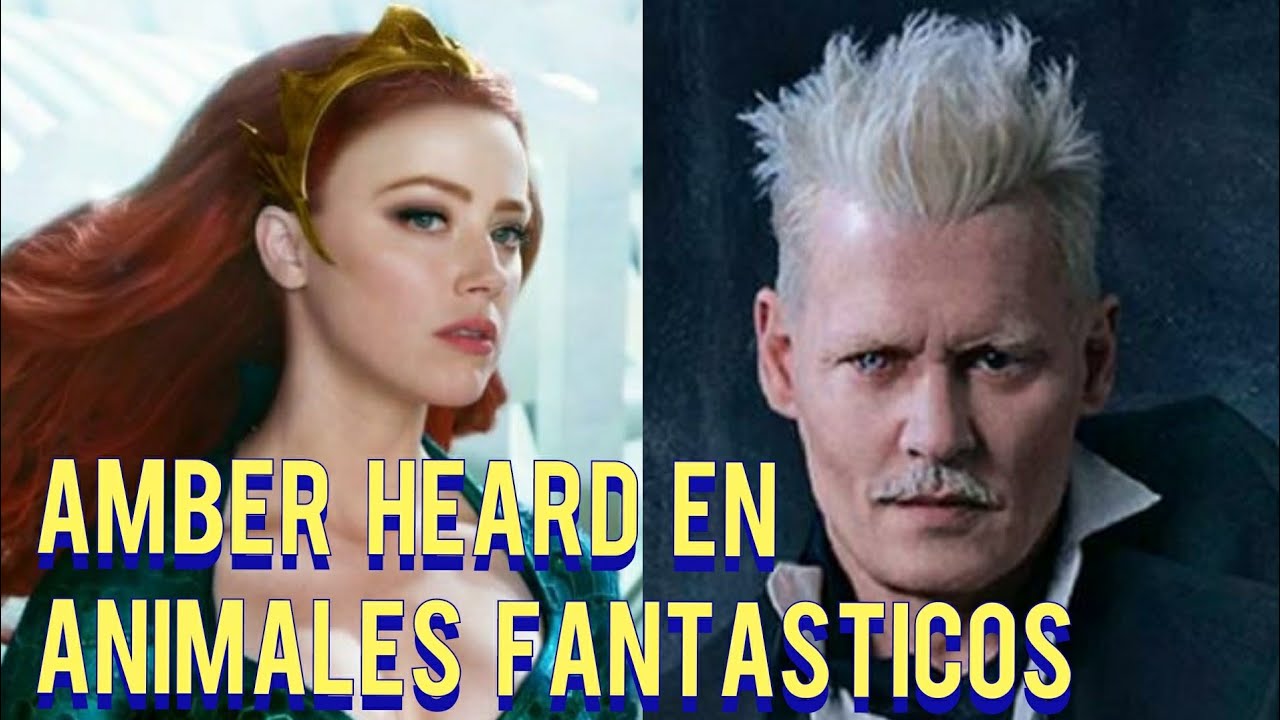 Amber Heard Quiere unirse a la Saga de Animales Fantásticos | Rumor