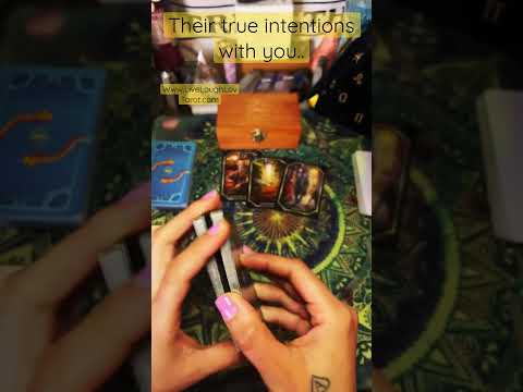 😬Their true intentions with you.. #livelaughlovtarot #tarot #truth #married #intentions