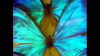 Roses and Butterflies - Making April