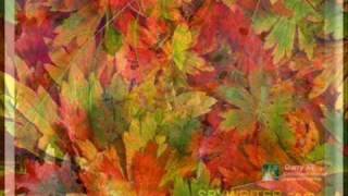 Chet Atkins "Autumn Leaves"