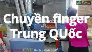 Chi tiết về chuyền finger tự động Trung Quốc Woodmaster WM-IAT620. Phay tự động, ghép dài 6200mm