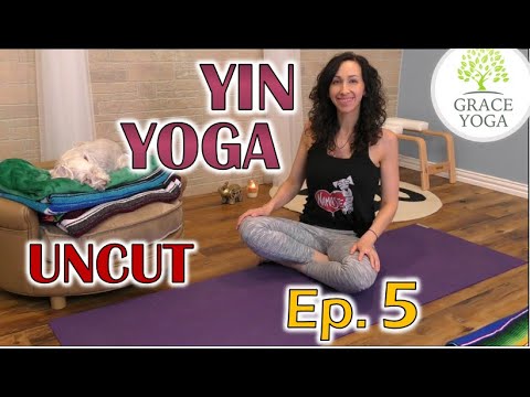 Yin Yoga, Ep. 5 from Twitch Live 9.23.2020