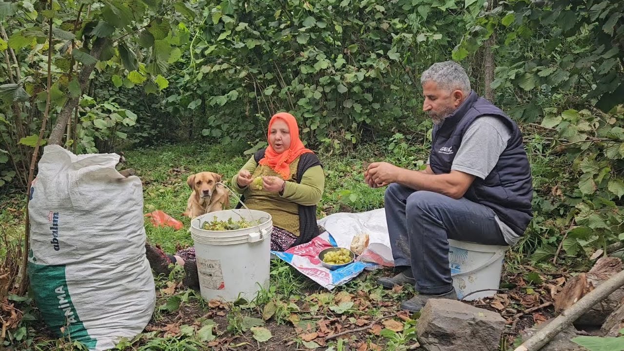 ‼️DOĞANIN İÇİNDE GÜZEL BİR GÜN 🍃 EŞİMLE ÖĞLEN YEMEĞİ  ‼️🥰