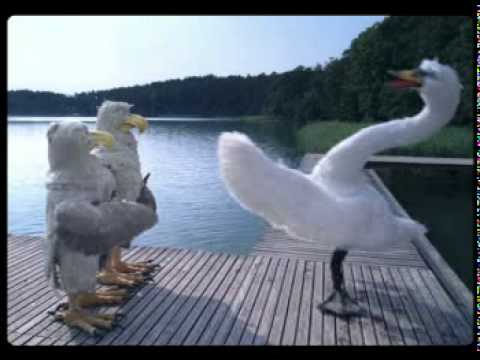 OKOCIM MOCNE - ŁABĘDŹ