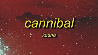 Kesha - Cannibal (Lyrics) | whenever you tell me i&#39;m pretty