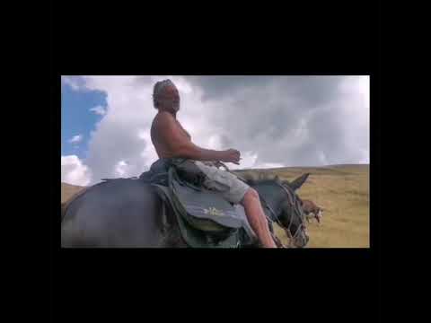 Degio e la mula Pioggia,cowboy x un giorno grazie Davide Ronc Malgaro Gran San Bernardo VDA😍😍😍