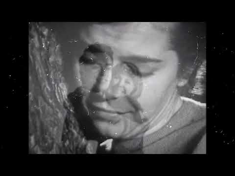 The Kerosene Hours - My Baby Is Me [Official Video]