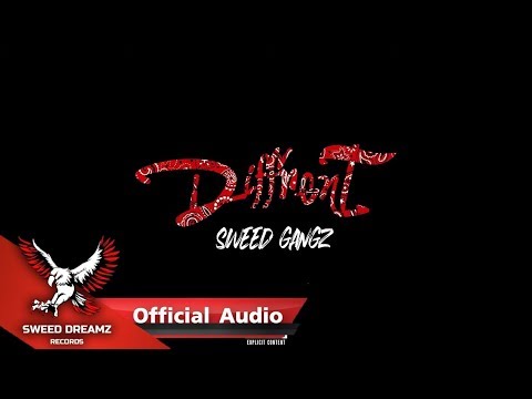 Sweed Gangz Ft. CallmeYOUNG & VKL - Diffrent [Official Audio]