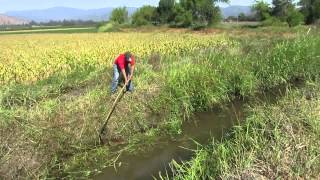 preview picture of video 'Clearing the  irrigation canal at Chilefarms, Nogales, Chile'