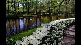 Flower Power op de Keukenhof in Lisse