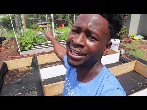 YouTube video about: Should I line my raised garden bed?