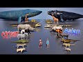 Size Comparison African Animals Vs Asian Animals 3D Animation