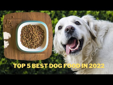 ✅The Ultimate Guide to the Top 5 Best Dog Foods of 2023 | Best Dog Food Brands | Dog food review