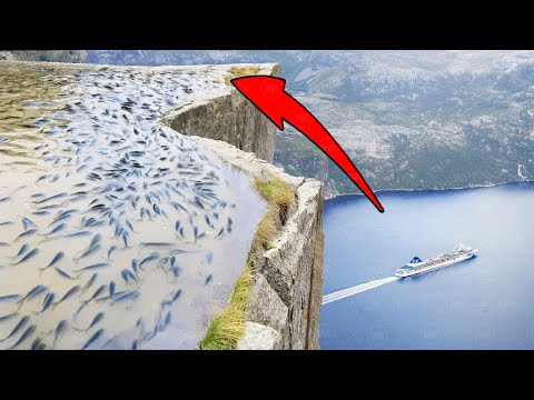 This Is How Fish Get into Isolated Mountain Lakes