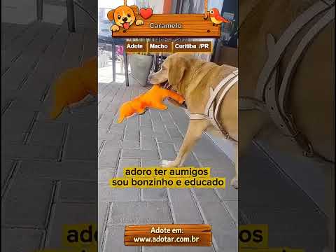 Vídeo de Caramelo