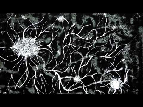 Jacek Sienkiewicz "Instynkt" by Dobrawa Borkala