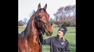2025 USTrotting --  Top Contenders -- Trainer Nancy Takter