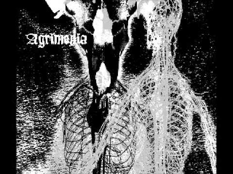 AGRIMONIA - Agrimonia LP