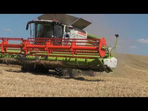Weizenernte XXXl Die Getreideernte 2017 in Thüringen 2 CLAAS Lexion 770 TT Terra Trac  mit 10 50 Met