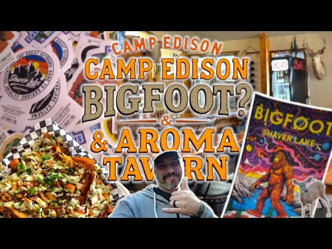 Bigfoot Shaver Camping, Summer Job? & Dinner/Drinks at Aroma Tavern!