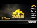 Drum&BassArena 2013 (Album Megamix) 