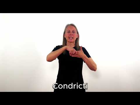 Condricti - LSC