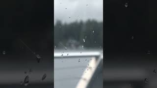 Transfer from the cruise ship to a small boat to see the waterfall in Alaska 🇺🇸