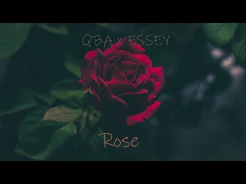 QBA x ESSEY - Rose