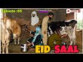 EID SAAL Episode 05 Kashmiri Funny Drama The Kashmiri Vines